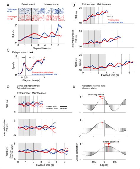 Firing Patterns Of Sma Neurons A Rasterplot And Firing Rate Of A