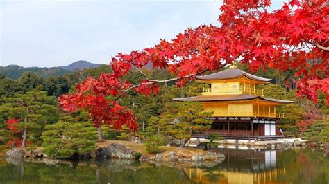 Kinkakuji: The Golden Pavilion Of Kyoto