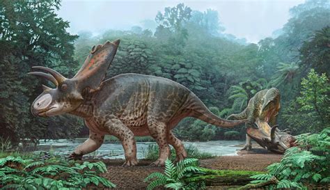 A New Two Horned Dinosaur Species Was Found In New Mexico