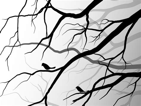 Black Branch Tree Or Naked Trees Silhouettes Hand Drawn Isolated Illustrations Vector
