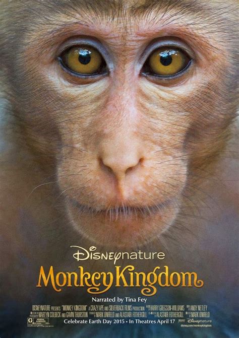 Monkey Kingdom Movie Zone