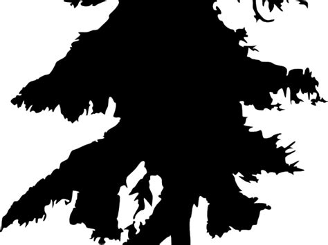 Drawing Pine Tree Black And White 640x480 Png Download