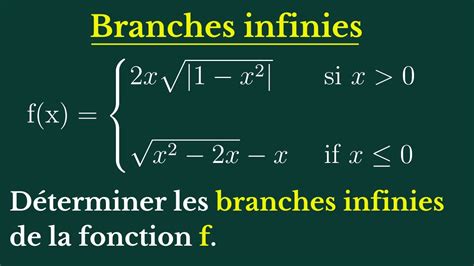 Comment déterminer les branches infinies d une fonction numérique 1S