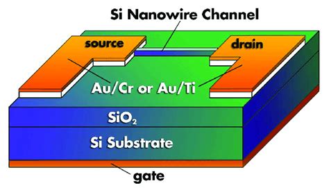 Schematic Diagram Of A Silicon Nanowire Fet 84 The Field Effect