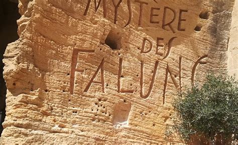 Le Mystère des Faluns Saumur Val de Loire Tourisme