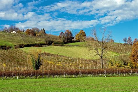 Gli Migliori Agriturismo Dove Mangiare A Bergamo Nel