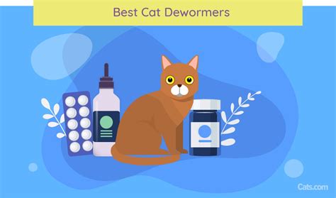 5 Best Cat Dewormers Of 2024: [Kill Tapeworms, Roundworms & More]