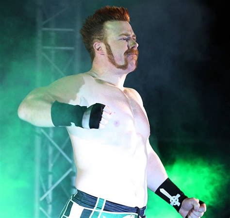 Celtic Warrior Sheamus In Action During The Wwe Smackdown Live Tour