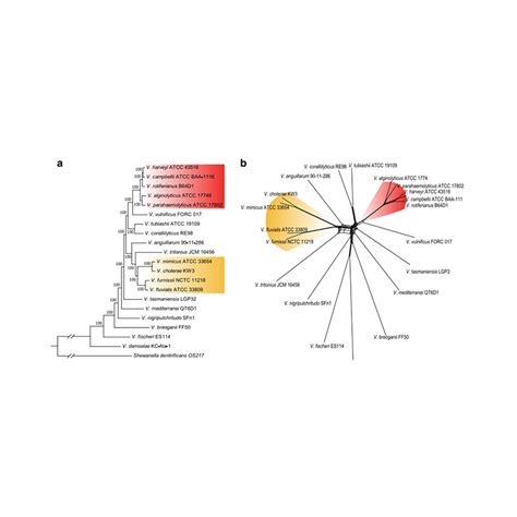 Bacteria Complete Genome