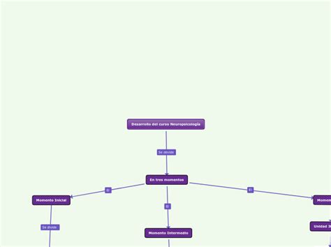 Desarrollo Del Curso Neuropsicología Mind Map