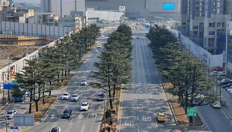 세계로컬타임즈 대구시 155억 들여 ‘도시숲 조성미세먼지 저감 기대