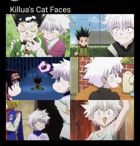 Pin By Viih Sgarbi On Memes Hunter X Hunter Hunter Anime Anime