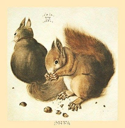 Squirrels By Albrecht Durer Albrecht Durer Albrecht Durer Paintings