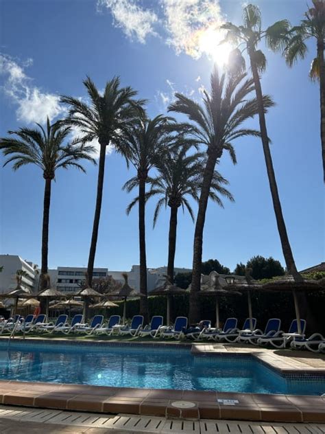 Pool Grupotel Maritimo Alcudia HolidayCheck Mallorca Spanien