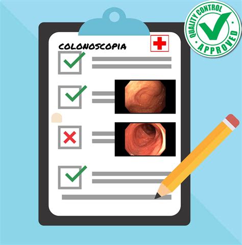 Informe De La Colonoscopia Interpretaci N Y Calidad Digestivo Saludable