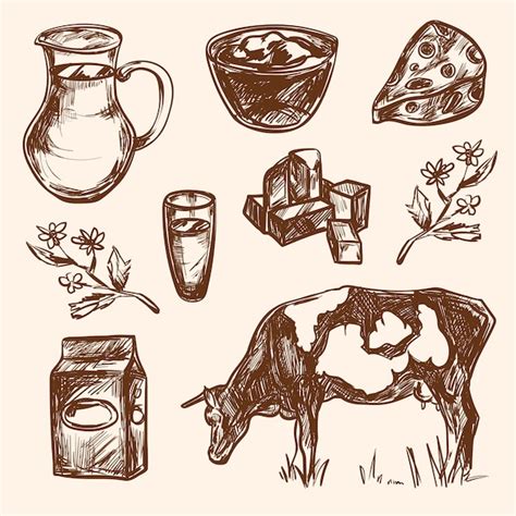 Premium Vector Dairy Products Hand Drawn Decorative Icons Set