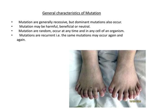 Molecular mechanism of spontaneous mutations