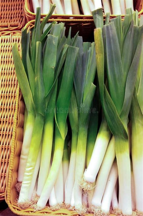 Spring Onionsleek And Onion Stock Photo Image Of White Colorful