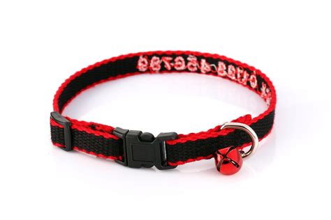 Personalized Cat Collar – Snazzy Fido