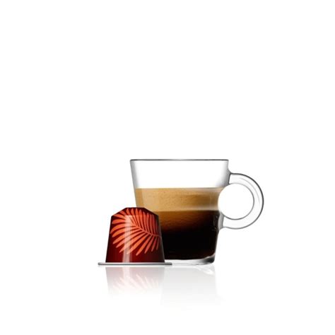 Nespresso Forest Fruit Flavour 10 kapsułek Kultura Smaku