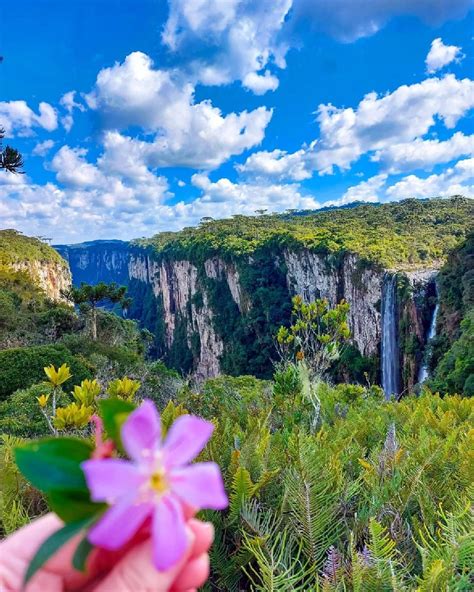 Praia Grande Sc Ecoturismo Na Capital Dos C Nions E Das Cachoeiras