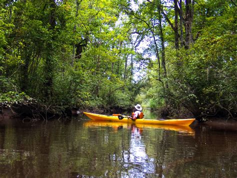 Waccamaw National Wildlife Refuge - Go Wandering