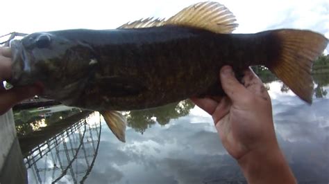 Lure Fishing 32 Small River Jig Fishing For Big Rock Bass