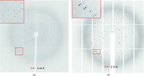 Iucr Expression And Crystallographic Studies Of The Ligand Binding