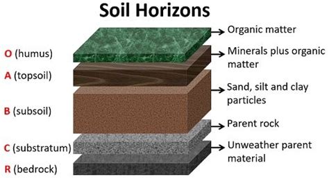 Soil Structure And Texture Definition Types And Importance Biology