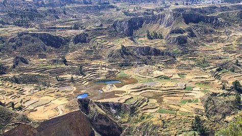 Colca Canyon Peru