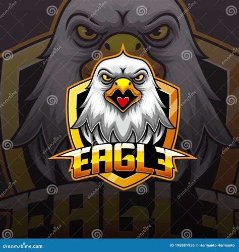 Hawks Head Logo Template Hawk Mascot Graphic Cartoon Vector