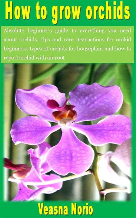 How To Grow Orchids Absolute Beginners Guide To Everything You Need