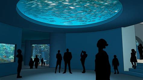 Kansas City’s new 650,000 gallon aquarium is almost here | Kansas City Star