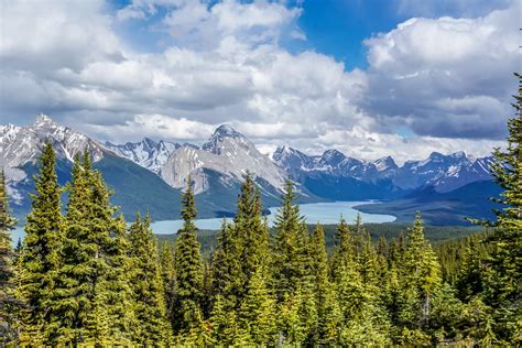 Hiking in Jasper National Park: 20 best hikes for all levels