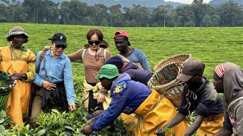 GISAKURA TEA PLANTATION IN NYUNGWE NATIONAL PARK Salom Safaris