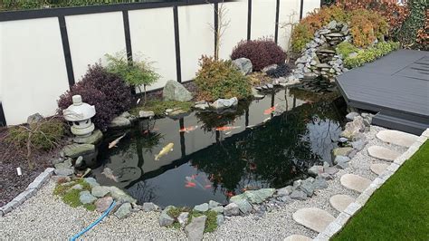 Japanese Formal Koi Pond Design