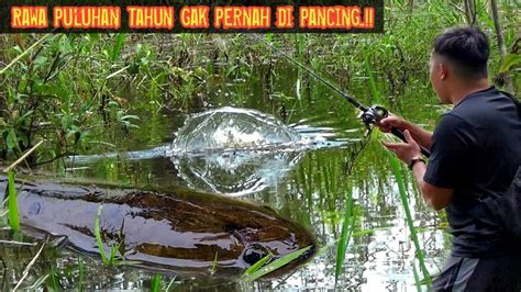 Ketemu Spot Baru Puluhan Tahun Gak Di Pancing Ikan Nya Besar Besar