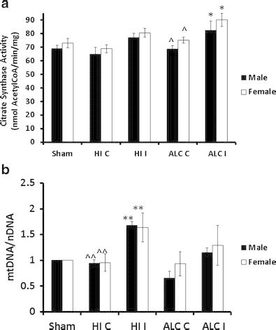 Mitochondrial Biogenesis Markers A Elevated Citrate Synthase Enzyme