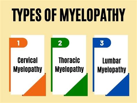 Myelopathy: Symptoms,Types, Causes and Treatments - Dr Deepak Agrawal