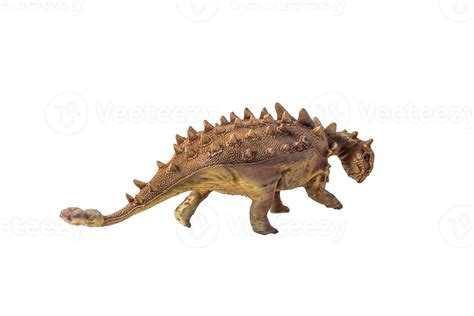 Ankylosaurus Dinosaur On Isolated Background Png