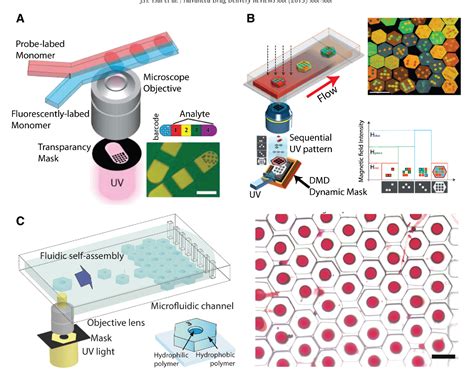 Table 1 From Microfluidics Assisted In Vitro Drug Screening And Carrier