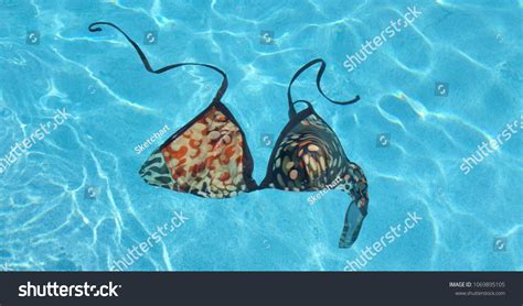 522 Lost Bikini Images Stock Photos And Vectors Shutterstock