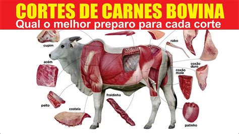 Cortes De Carnes Bovinas E Qual O Melhor Preparo Para Cada Corte YouTube