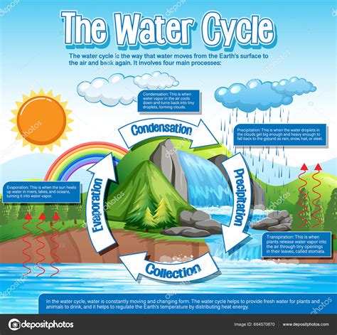 Water Cycle Diagram Science Education Illustration Stock Vector By