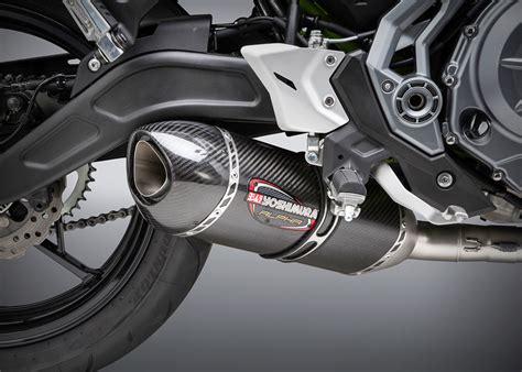 2024 Kawasaki Ninja 650 Exhaust Aile Lorene