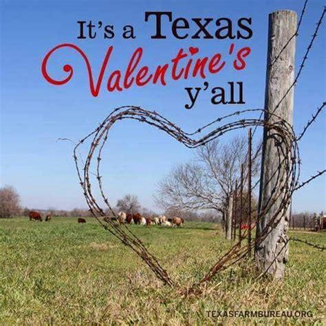 Texas Valentine Valentines Greetings Be My Valentine Valentimes