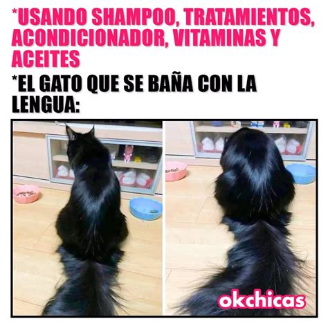 Usando Shampoo Tratamientos Acondicionador Vitaminas Y Aceites El