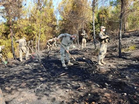 Son dakika haberi MSB Hatay ın Dörtyol ilçesindeki yangına