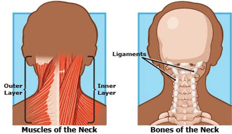 👉 Cervicalgia Icd 10 M54 2 Definition Sauses Symptoms Treatment December 2021