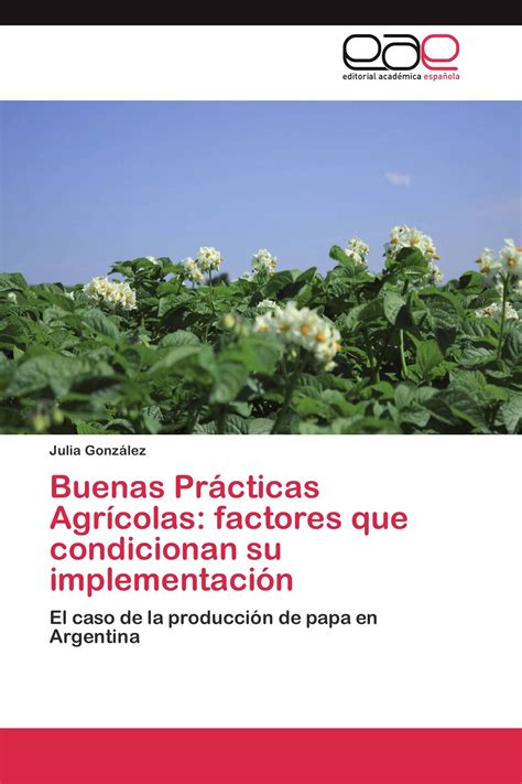 Buenas Prácticas Agrícolas Factores Que Condicionan Su Implementación